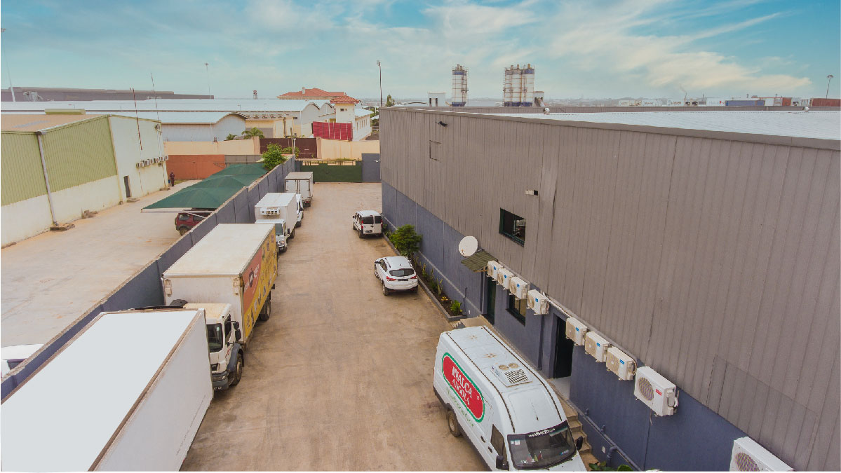 Rosex Gallery — DJI 0006