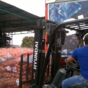 Rosex Gallery — forklift in warehouse