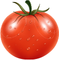 Tomate